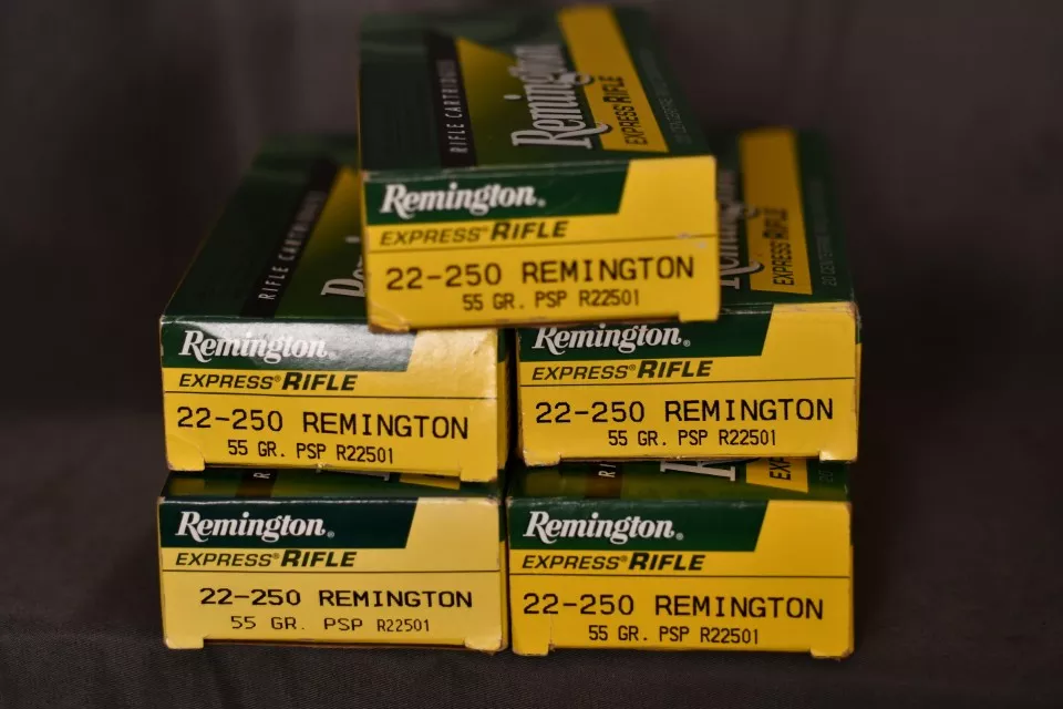100 rds. of Remington .22-250 cal. ammunition.